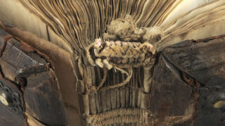 <a href='http://www.ra.ee/pargamendid/index.php/et/parchment/view?id=17463&_xr=eNoti0kOQFAQRO%252FSB%252Fi0L0hZ2Vu6QIc2JOZhJe7Ox%252Bq9ekkJGGcHPxWEn2zgCDTLWraDjru3qVN6egxatS6nSt1iCyryzATWN2wysW8ELT%252FZMQH1MjaHNO8nAOlO6XXdRVgiuA%253D%253D'>Ürik TLA.230.1.Aa3</a></br>
Volt, plisseevolt
Volt on materjali lineaarne moonutus. Üriku ja köite vormistamisel oli volt või kaksikvolt( pliseevolt) vajalik töövõte.
Pildil on dokumenteeritud sisuploki köiteseljal olevad kaksikvoldid e pliseevoldid.</ br>
A fold is a linear distortion of a material. A fold or a double fold (pliseefold) was a necessary technique when forming the document and binding.
The picture documents the double folds and pleat folds on the spine of the content block.