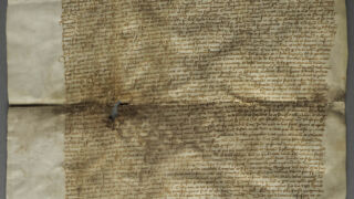 <a href='http://www.ra.ee/pargamendid/index.php/et/parchment/view?id=16637&_xr=eNpLtDK0qs60MrBOtDKBMIqtDM2slAoSi5IzclPzSvSLU0FMJaC4uZVSUWpacn5KKohnaGqlFOLjqGdkbKBnqJupZ25hCBa2UiqE0mC%252BhZVSTmJeemliOliXkZVSaomSdW0tAIOfIxs%253D' target='_blank' rel="noopener noreferrer">Ürik TLA.230.1-i.781</a>, 1471. a. </ br>
Kokkutõmbumine.
Mitmete kahjustuste koosmõjuna on pärgament tugevalt degradeerunud ja sellest tulenevalt on ürik lokaalse kokkutõmbumise tulemusena üle kogu pinna tugevalt deformeerunud.