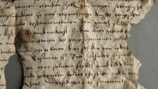 <a href='http://www.ra.ee/pargamendid/index.php/et/parchment/view?id=16416&_xr=eNpLtDK0qs60MrBOtDKBMIqtDM2slAoSi5IzclPzSvSLU0FMJaC4uZVSUWpacn5KKohnCOSG%252BDjqGRkb6BnqZmZmJulZWIAlrJQKobQhiLawUspJzEsvTUwH6zOyUkotUbKurQUA4bQkIQ%253D%253D' target='_blank' rel="noopener">Ürik TLA.230.1-iiib.88</a>, 1533. a. </ br>
Äärekadu.
Materjali kadu pärgamendi äärtel. Hallitanud ja degradeerunud pärgament, millel lisaks äärekadudele on ka pärgamendi sisene materjali kadu.</ br>
Edge loss.
Material loss at parchment edges. Moldy and degraded parchment with material loss within the parchment in addition to edge loss.