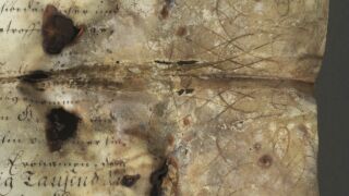 <a href='http://www.ra.ee/pargamendid/index.php/et/parchment/view?id=15925&_xr=eNoti0sOQEAQBe%252FSBxhaxifPygEcokP7JP7GStydwarqVfIEjLNHmAvsJzs4AS2yVd2okwt29UpPT0GbNtVcq1%252FMoKI0HFoTG7ZvAq0%252F2TMDDTK1h7TvIwKpo%252Fy6bvZYIfc%253D' target='_blank' rel="noopener">Ürik AM.104.5.14</a>, 18. saj.</br>
Kirme. Sade.
Tugevalt degradeerunud ala pärgamendis, millega kaasnevad deformatsioon, materjali kokkutõmbumine ja valkja hallika sademena kaltsiidi väljasadenemine degradeerunud pärgamendi pinnal.</ br>
A severely degraded area in parchment, accompanied by deformation, shrinkage of the material, and precipitation of calcite as a whitish-gray precipitate on the surface of the degraded parchment.
