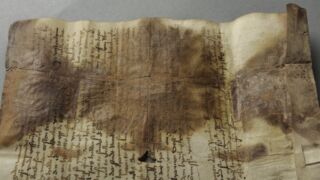 Kirme. Sade.
Valkja hallika sademena väljasadenenud kaltsiid degradeerunud pärgamendi pinnal.
Dokumenteeritud kaldvalguses.</ br>
Calcite precipitated as a whitish gray precipitate on the surface of degraded parchment.
Documented in oblique light.