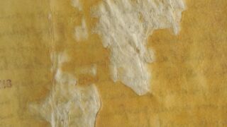 Ürik TLA.230.1.BB_74/iii
Bioloogiline kahjustus. Hallitanud. Näritud pind.
Bioloogilise kahjustumise tulemusena toimuv lokaalne pärgamendi õhenemine. Kahjustus on dokumenteeritud kaldvalguses.</ br>
Biological damage. Molded. Chewed surface.
Local thinning of parchment as a result of biological damage. Damage is documented in oblique light.