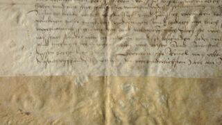 Ürik 230.1.BB_74/iv
Bioloogilised kahjustused. Hallitanud. Näritud pind.
Bioloogilised kahjustused muudavad pärgamendi omadusi, pinna reljeefi ja värvust.</ br>
Biological damage. Molded. Chewed surface.
Biological damage changes the properties, surface relief and color of the parchment.