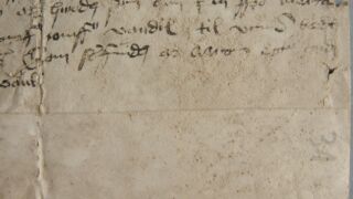 <a href='http://www.ra.ee/pargamendid/index.php/et/parchment/view?id=16536&_xr=eNpLtDK0qs60MrBOtDKBMIqtDM2slAoSi5IzclPzSvSLU0FMJaC4uZVSUWpacn5KKohnCOSG%252BDjqGRkb6BnqJSXHG5vpJ4ElrJQKobQhiLawUspJzEsvTUwH6zOyUkotUbKurQUA29kkBQ%253D%253D' target='_blank' rel="noopener">Ürik TLA.230.1.bc_36/b</a>, 1492. a.
Bioloogilised kahjustused. Hallitanud. Näritud pind.
Bioloogilise kahjustuse tulemusena toimuv pinna irdumine põhjustab omakorda tindi kihiti eraldumise, mahakoorumise.</ br>
Biological damage. Molded. Chewed surface.
The detachment of the surface as a result of biological damage in turn causes the ink to separate in layers, peel off.