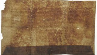 <a href='http://www.ra.ee/pargamendid/index.php/et/parchment/view?id=17085&_xr=eNpLtDK0qs60MrBOtDKBMIqtDM2slAoSi5IzclPzSvSLU0FMJaC4uZVSUWpacn5KKohnCOSG%252BDjqGRkb6BnqZupZmBrqJ4IlrJQKobQhiLawUspJzEsvTUwH6zOyUkotUbKurQUAyoEjqw%253D%253D' target='_blank' rel="noopener noreferrer">Ürik TLA.230.1-i.851/a</a>, 1496. a. </ br>
Bioloogilised kahjustused. Hallitanud. Näritud pind.
Tugeva bioloogilise kahjustuse tulemusena võib pärgament lokaalselt õheneda. Pärgamendi õhenemine on hästi nähtav läbivas valguses.