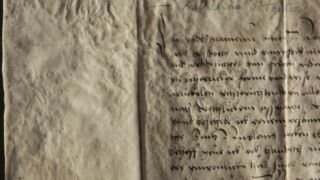 <a href='http://www.ra.ee/pargamendid/index.php/et/parchment/view?id=16416&_xr=eNpLtDK0qs60MrBOtDKBMIqtDM2slAoSi5IzclPzSvSLU0FMJaC4uZVSUWpacn5KKohnCOSG%252BDjqGRkb6BnqZmZmJulZWIAlrJQKobQhiLawUspJzEsvTUwH6zOyUkotUbKurQUA4bQkIQ%253D%253D' target='_blank' rel="noopener">Ürik TLA.230.1-iiib.88</a>, 1533. a. </ br>
Bioloogilised kahjustused. Hallitanud. Näritud pind.
Tugev bioloogiline kahjustus üle kogu pinna. Kahjustuste tulemusena muutuvad oluliselt pärgamendi omadused, pinna reljeef ja värvus.</ br>
Biological damage. Molded. Chewed surface.
Severe biological damage over the entire surface. As a result of damage, the properties, surface relief and color of the parchment change significantly.