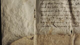 <a href='http://www.ra.ee/pargamendid/index.php/et/parchment/view?id=16416&_xr=eNpLtDK0qs60MrBOtDKBMIqtDM2slAoSi5IzclPzSvSLU0FMJaC4uZVSUWpacn5KKohnCOSG%252BDjqGRkb6BnqZmZmJulZWIAlrJQKobQhiLawUspJzEsvTUwH6zOyUkotUbKurQUA4bQkIQ%253D%253D' target='_blank' rel="noopener noreferrer">Ürik TLA.230.1-iiib.88</a>, 1533. a. </ br>
Bioloogilised kahjustused. Hallitanud. Näritud pind.
Tugevalt degradeerunud, hallitanud, näritud pärgament. Kahjustused on tugevalt muutnud pärgamendi pinna reljeefi ja värvust. Bioloogiliste kahjustuste tulemusena on pärgament üle pinna ebaühtlaselt õhenenud.