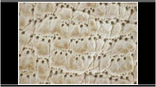 Ill.5. Pargitud kitsenahk. Karvaugu muster pargitud kitsenaha pinnal. (Codex Sinaticus, 24.03.2016 ).