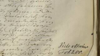 Pärgamendilehe suurus.
Suuremõõtmelise köite pärgamendilehe servas olev degradeerunud jäsemete naha külge kinnitumise ala. </ br>
Area of attachment to the skin of degraded limbs at the edge of a parchment sheet of a large-scale binding.